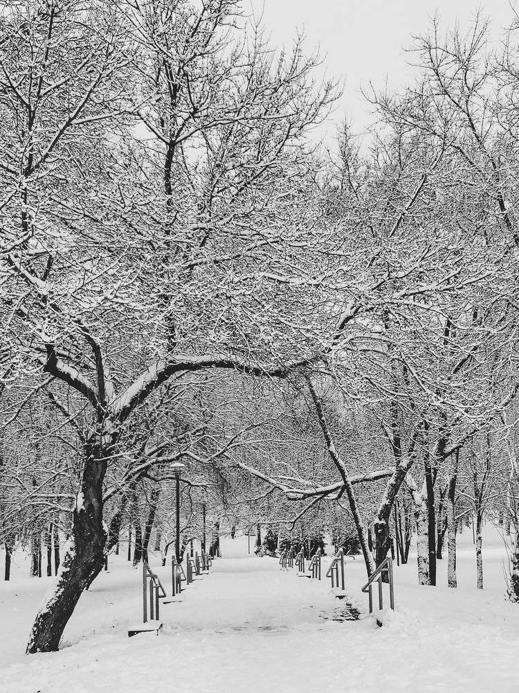 Фотография автора Лариса Гришкевич