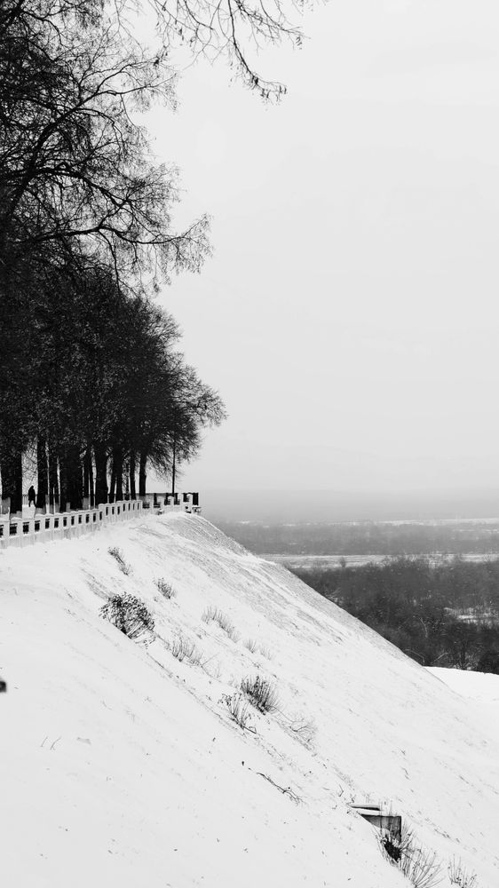 Photograph by Полина Лапкина