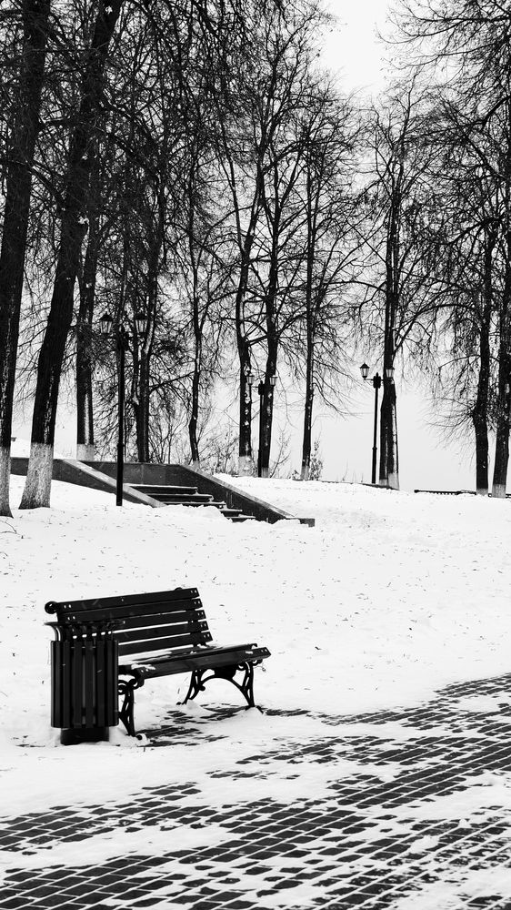 Photograph by Полина Лапкина