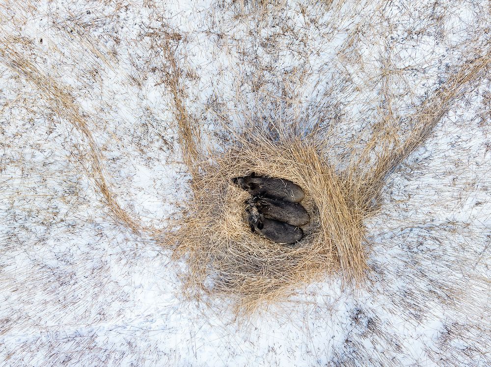 Photograph by Абросимов Александр