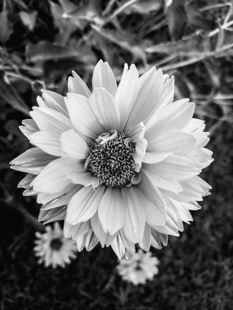 Photograph by Мария Добычина