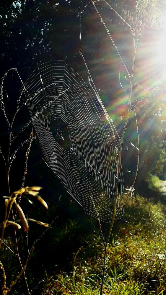 Фотография автора Татьяна Солтан
