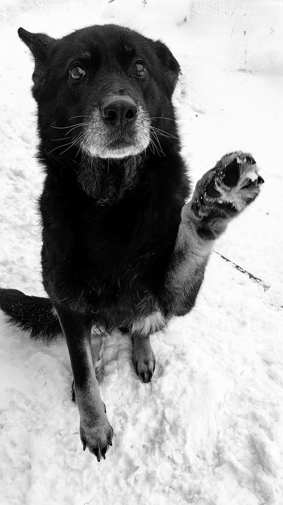 Photograph by Елена Алексеева