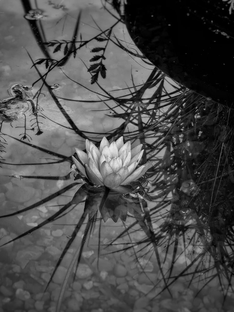 Photograph by Гульназ Шайхисламова