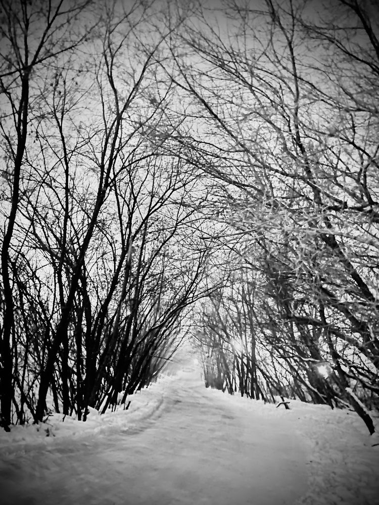 Photograph by Ольга Ильина