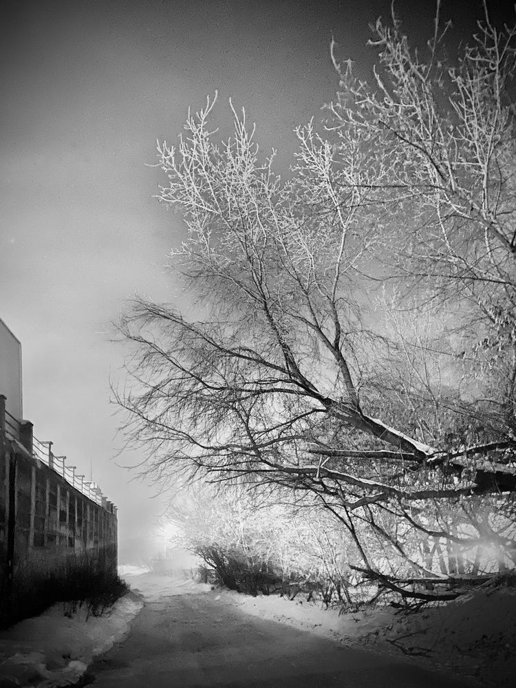 Photograph by Ольга Ильина