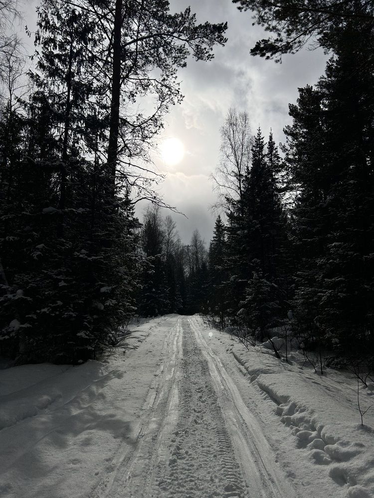 Photograph by Татьяна Дубовицкая