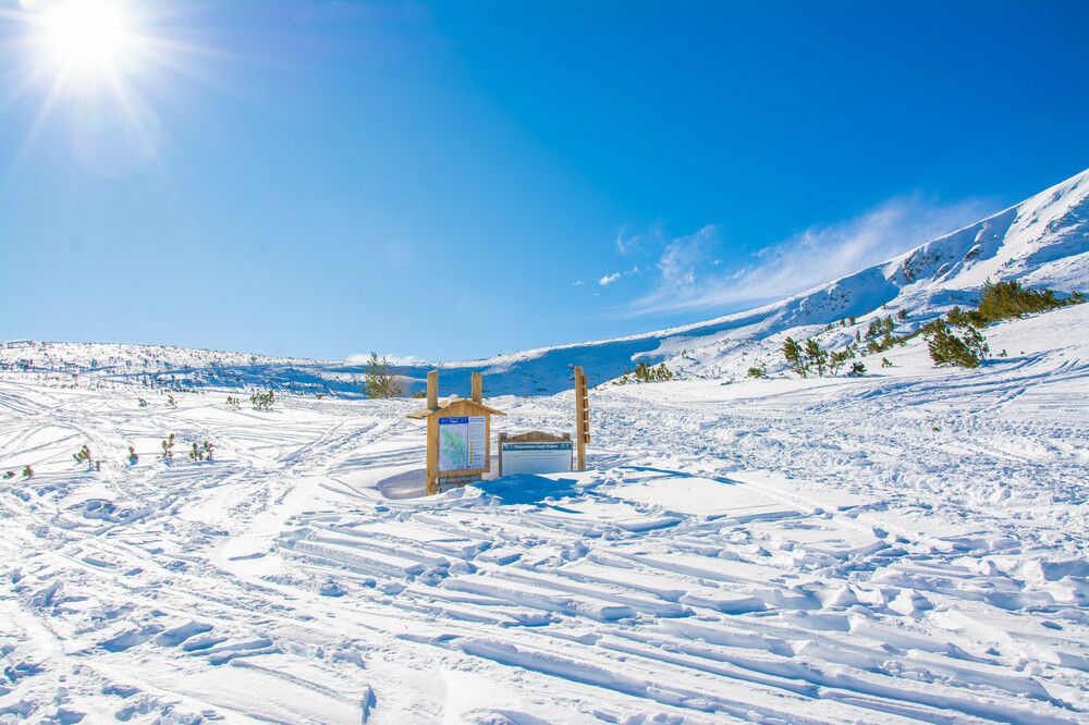 Photograph by Marianna Klein