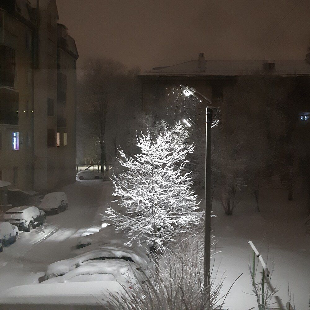 Photograph by Евгения Ефремова