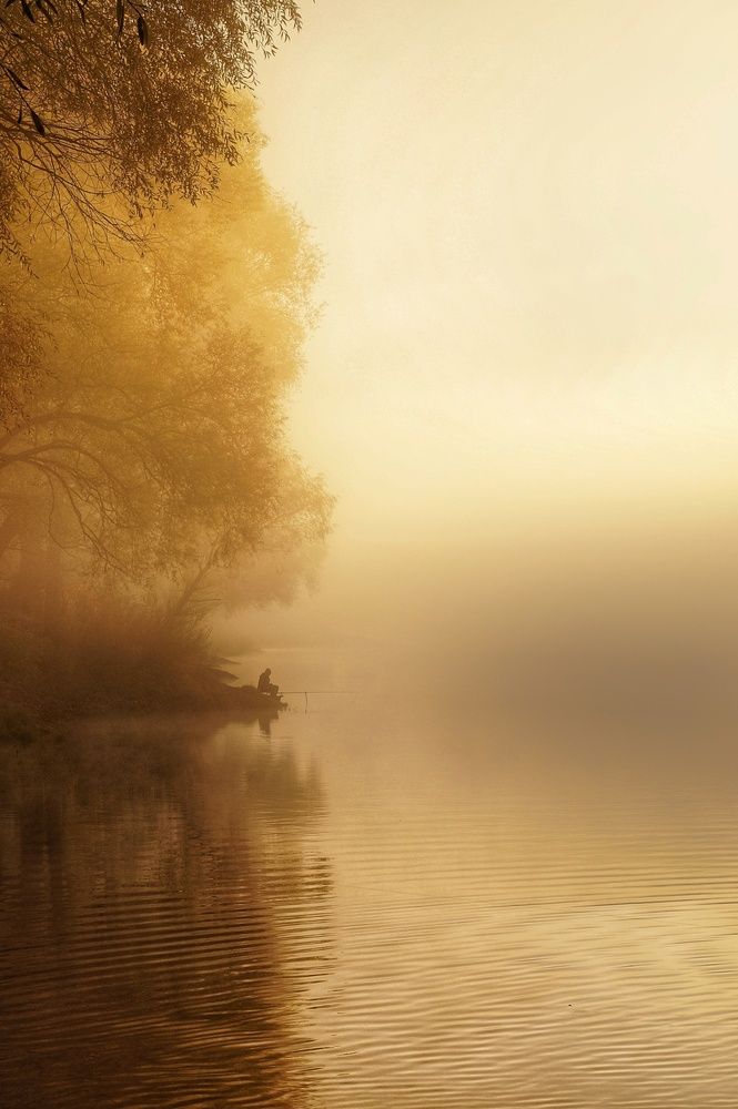 Фотография автора Татьяна