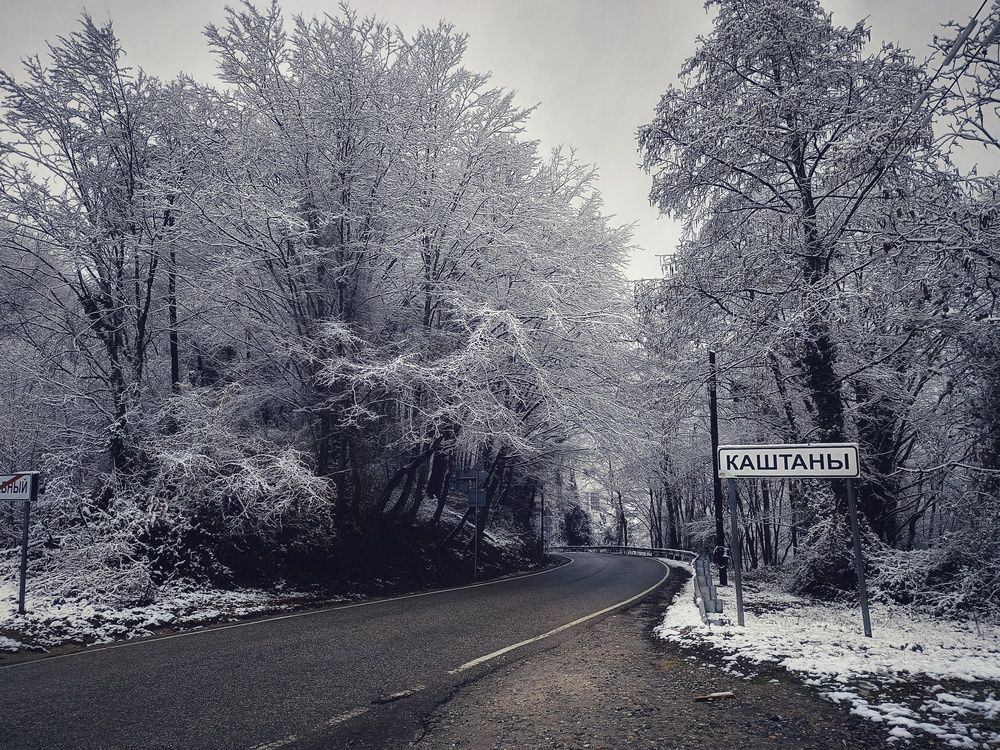 Photograph by Виолетта Пенсакова