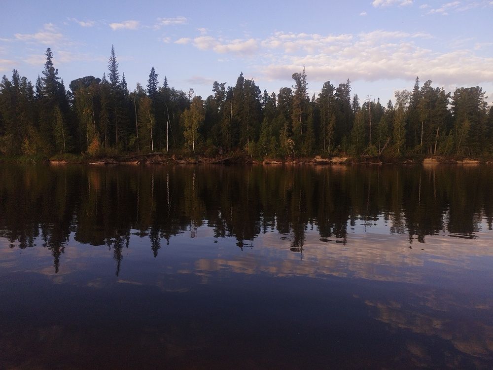 Photo #11932642