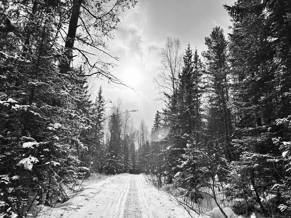 Photograph by Татьяна Дубовицкая