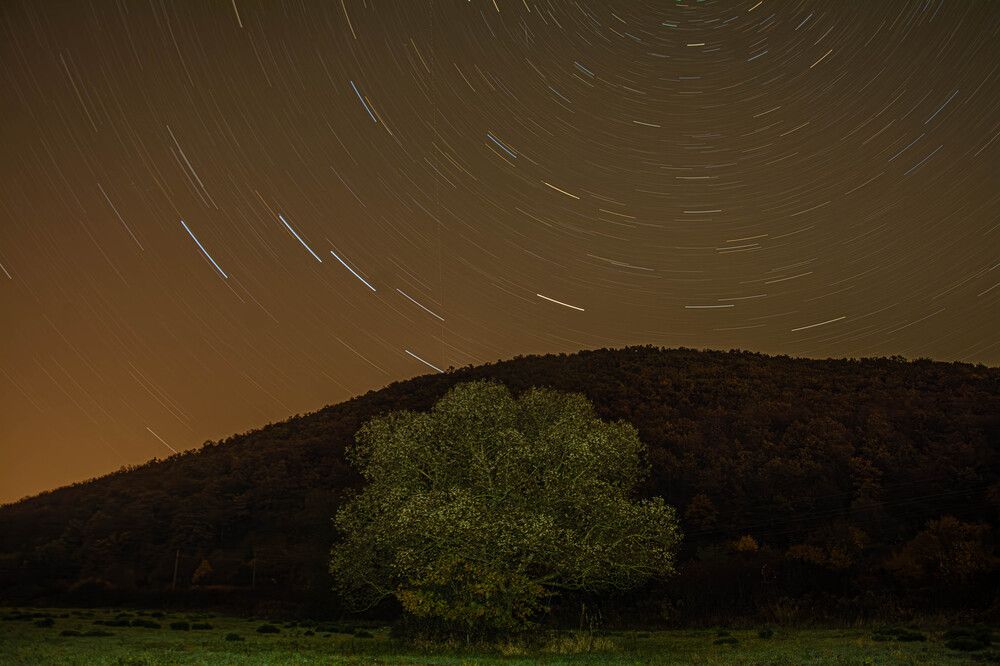 Photograph by Marianna Klein