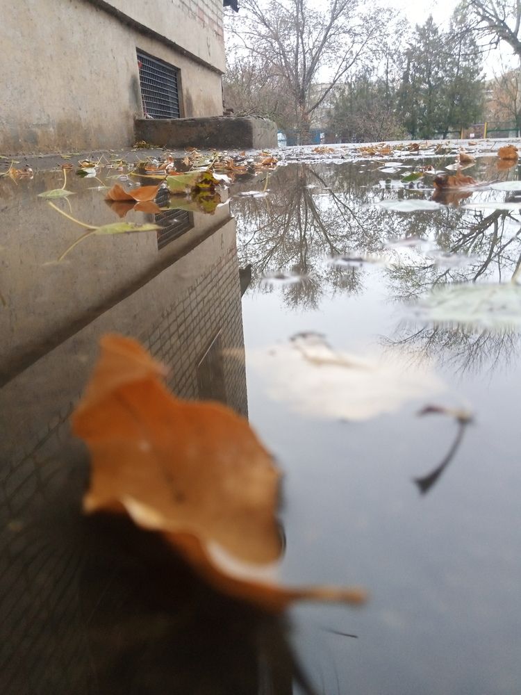 Photograph by Марина Демочкина