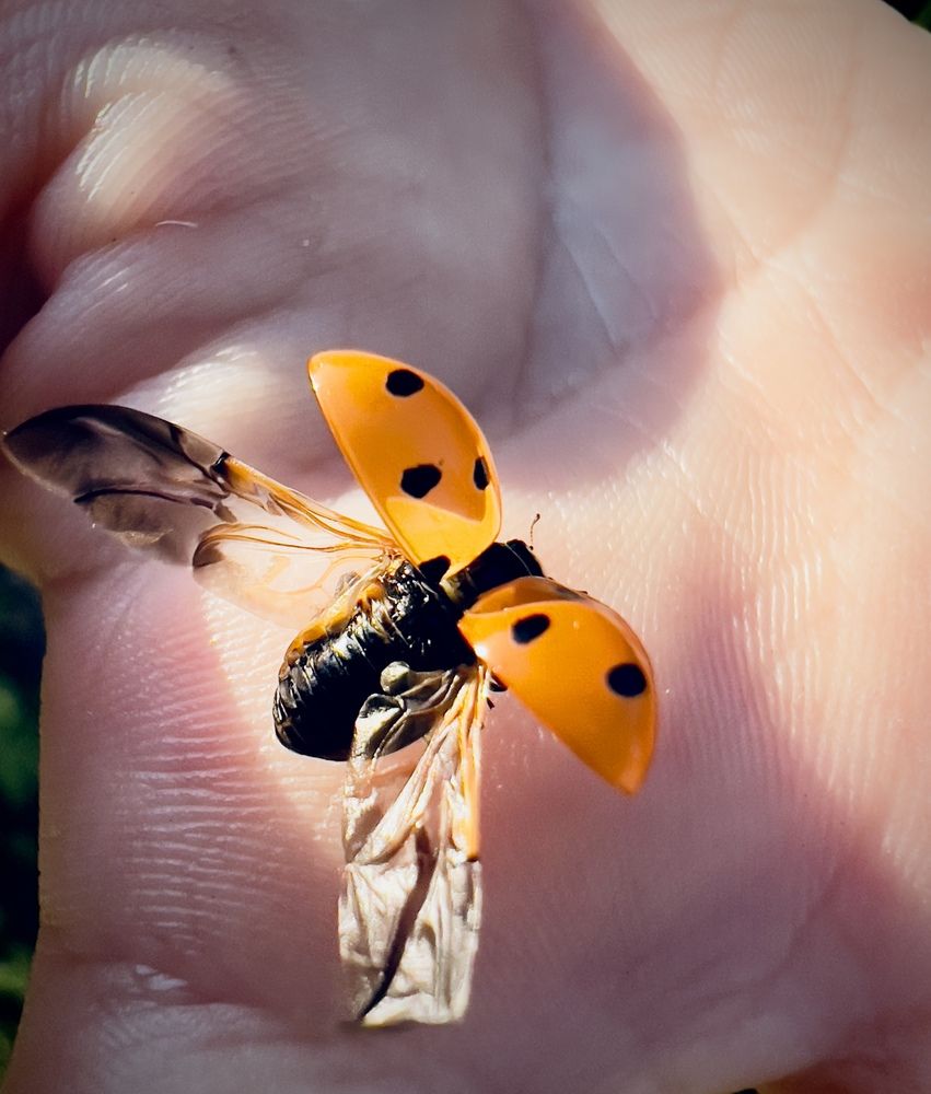 Photograph by Ольга Филатова