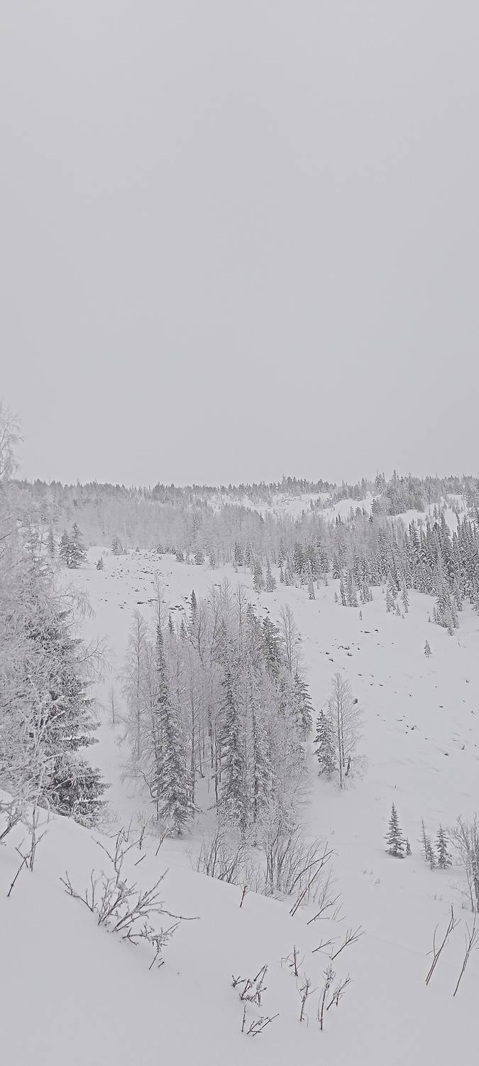Photo #11932669