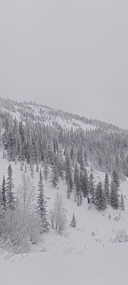 Photo #11932676
