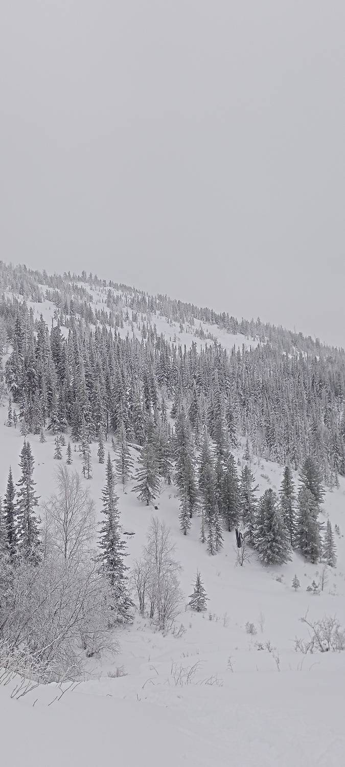 Photo #11932676