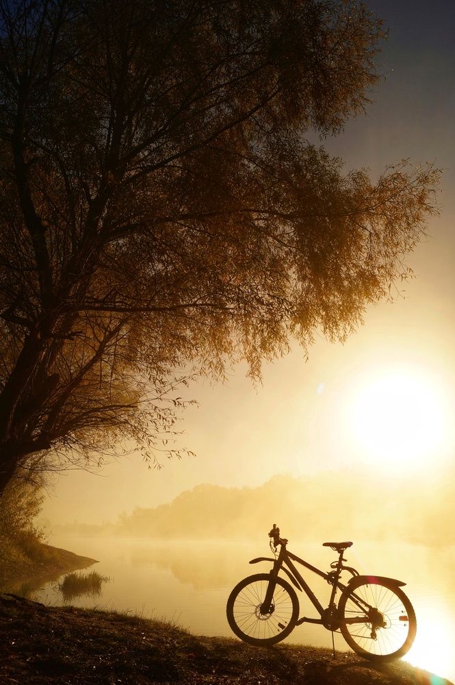 Фотография автора Татьяна