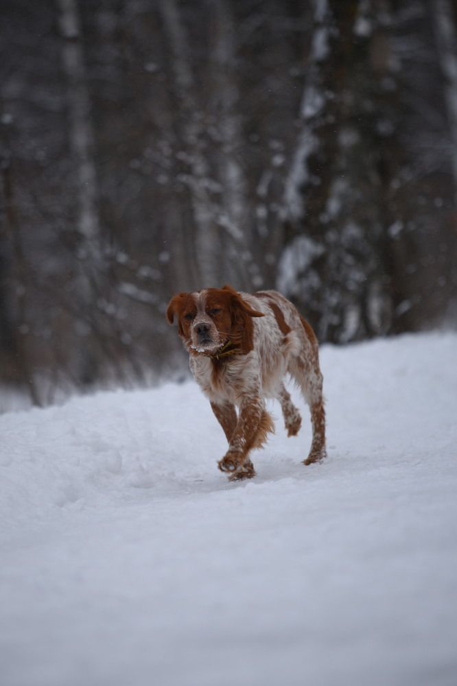 Фотография автора Иван Безрядин