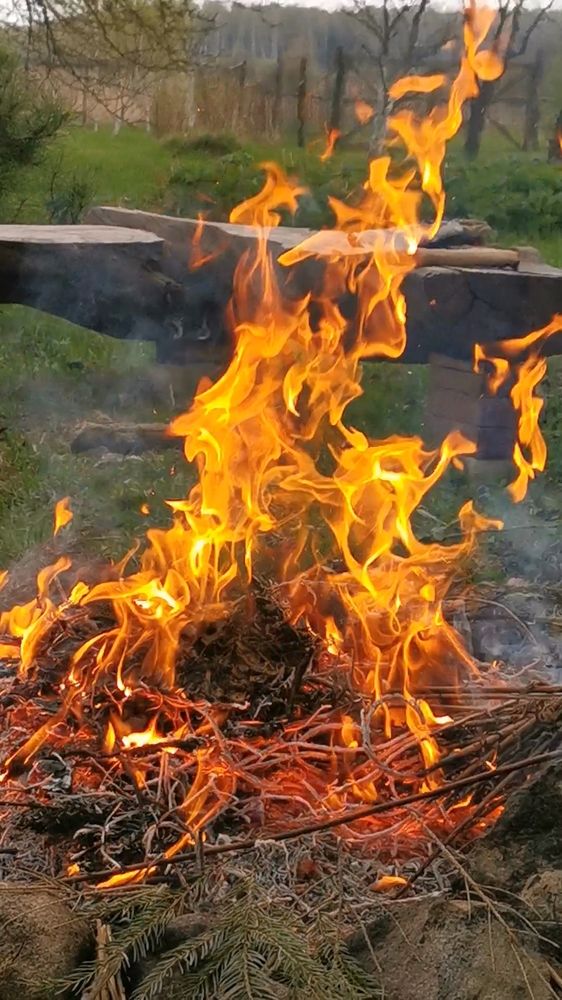 Photograph by Людмила Орловская