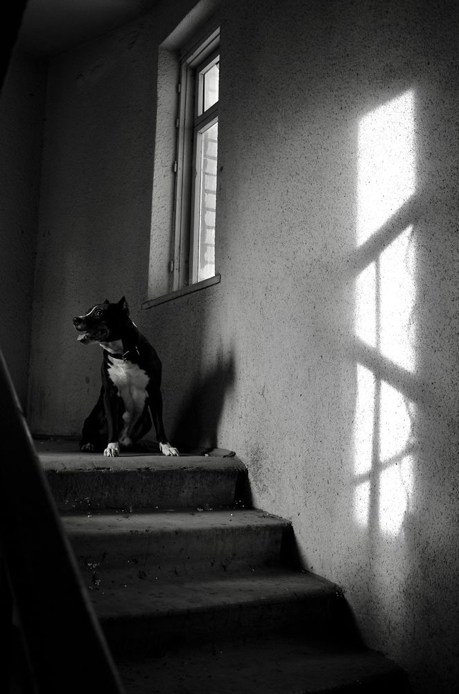 Фотография автора Егор Иванов