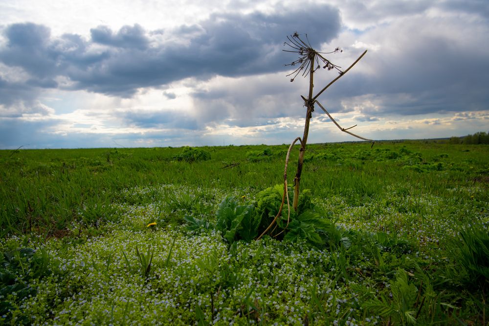 Фотография автора Екатерина Лапаева