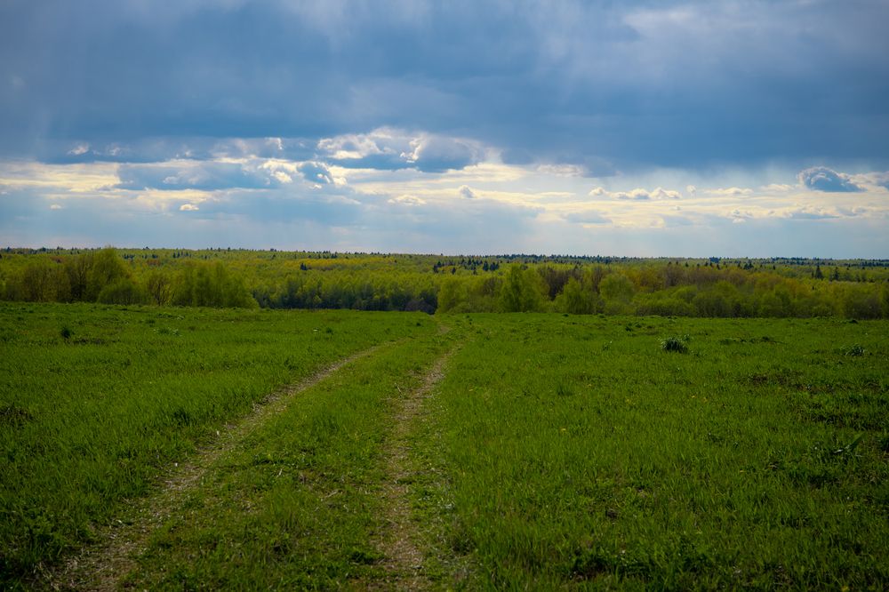 Фотография автора Екатерина Лапаева