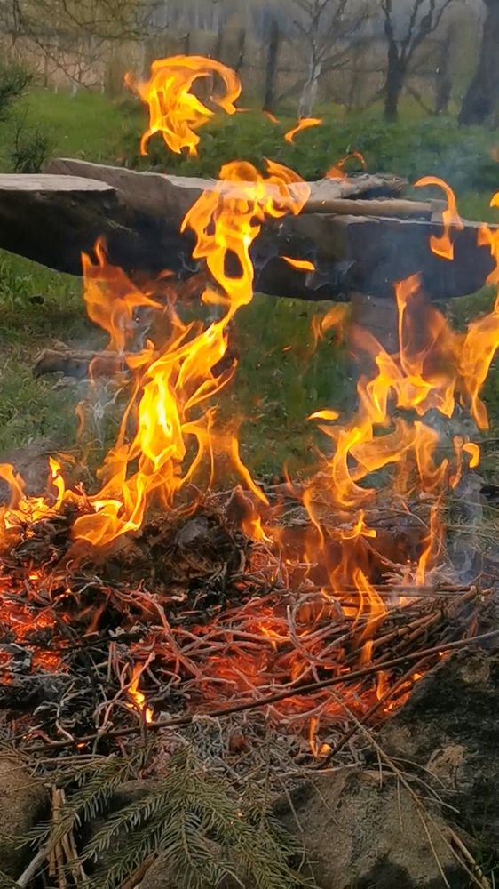 Photograph by Людмила Орловская