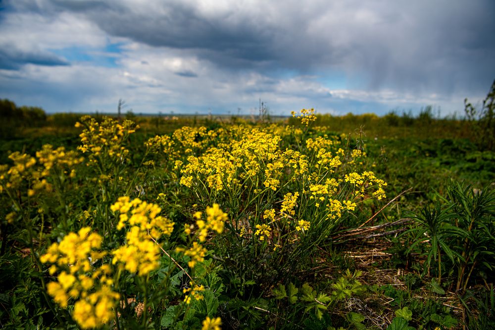 Фотография автора Екатерина Лапаева