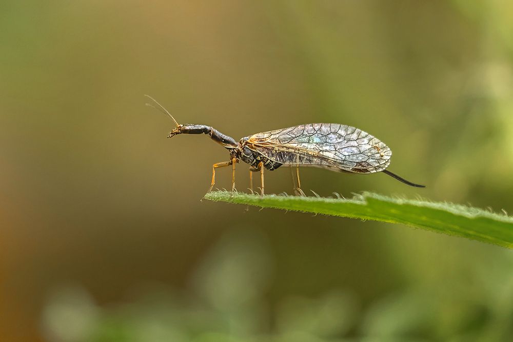 Photograph by Татьяна Тихомирова