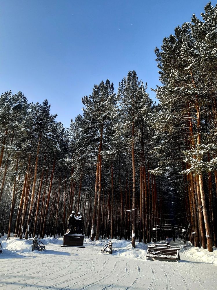 Фотография автора Наталья Шендяпина