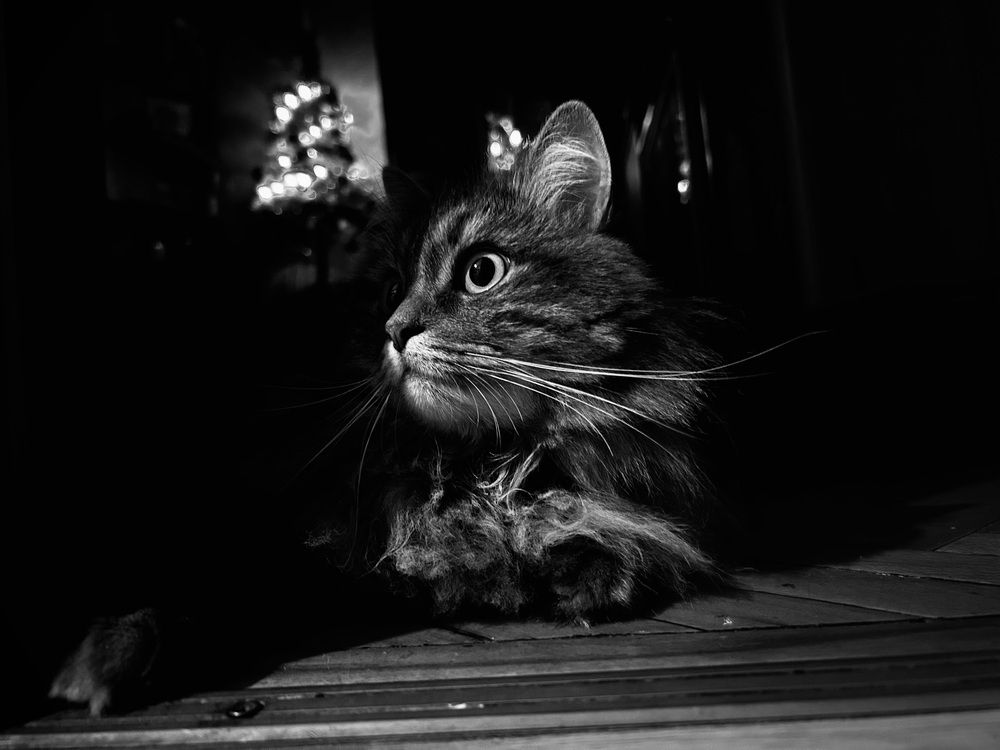 Photograph by Татьяна Дубовицкая