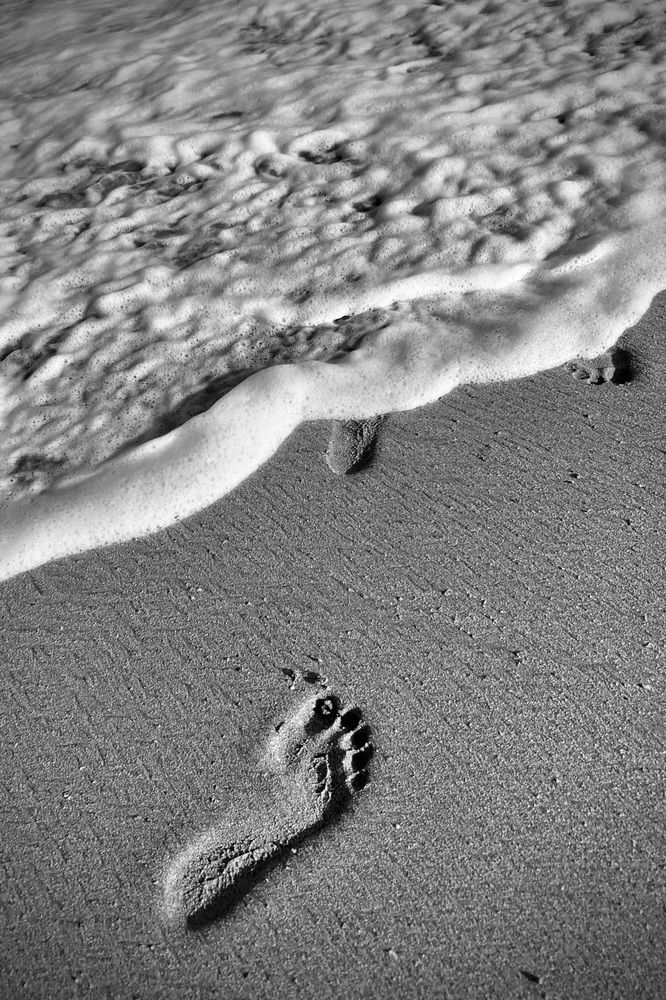 Photograph by Татьяна Дубовицкая