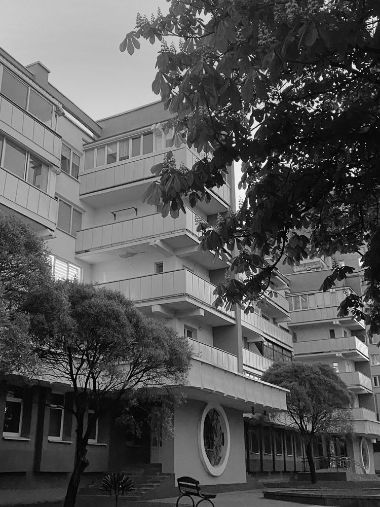 Фотография автора Анастасия Мешкова