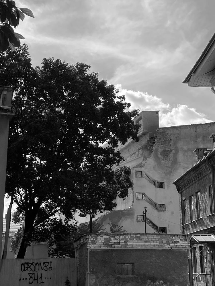 Фотография автора Анастасия Мешкова