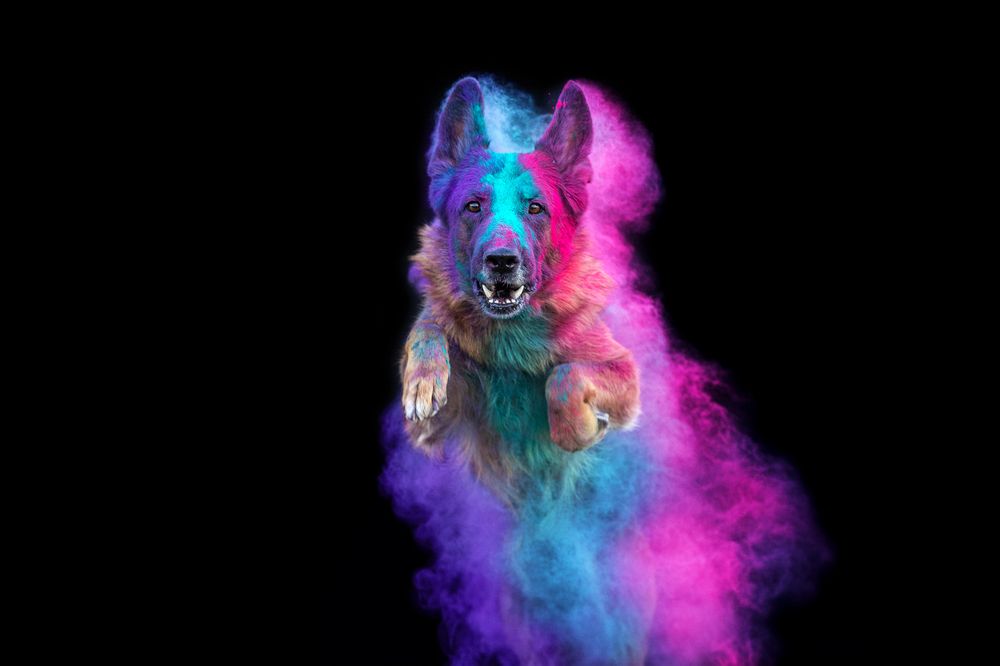 Фотография автора Екатерина Киреева