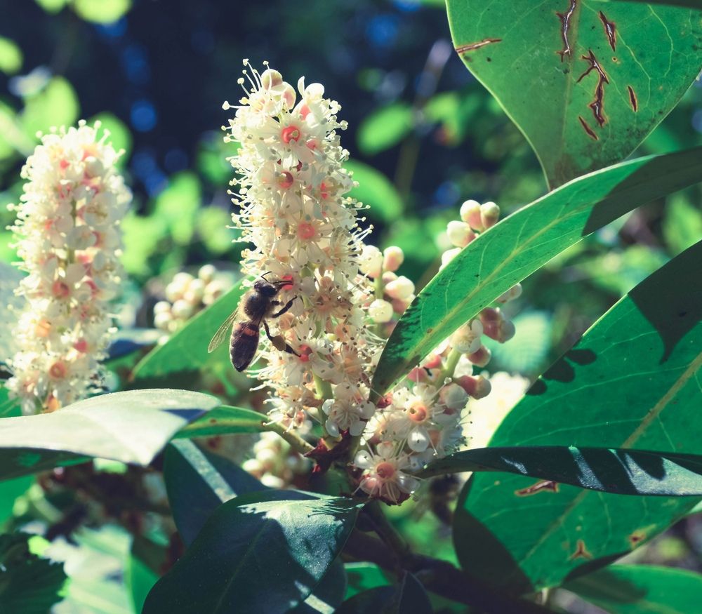 Photograph by Елена