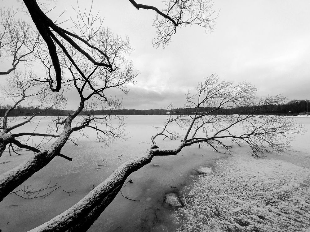 Photograph by Наталья Колеватова