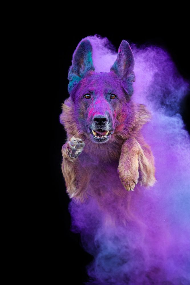 Фотография автора Екатерина Киреева