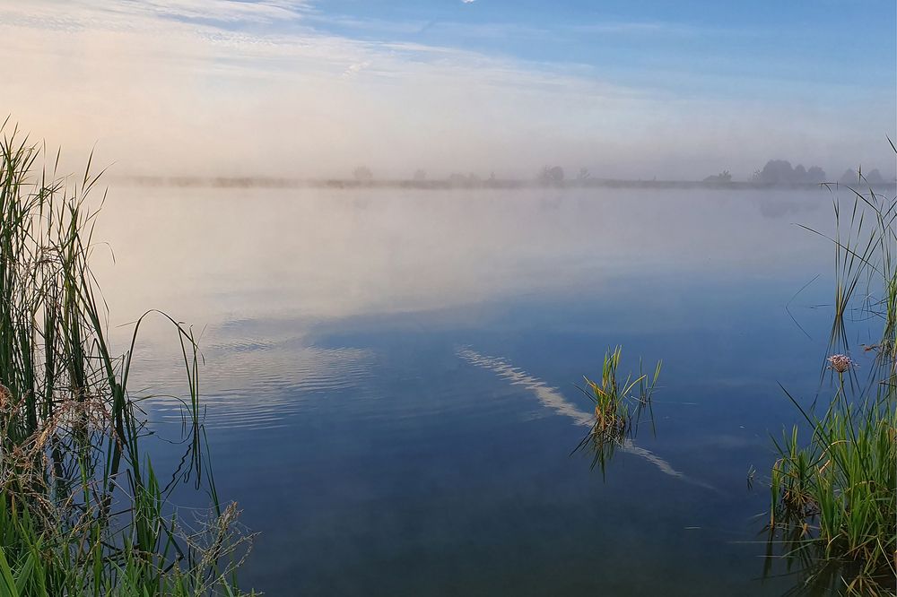 Photograph by Елена Бежина