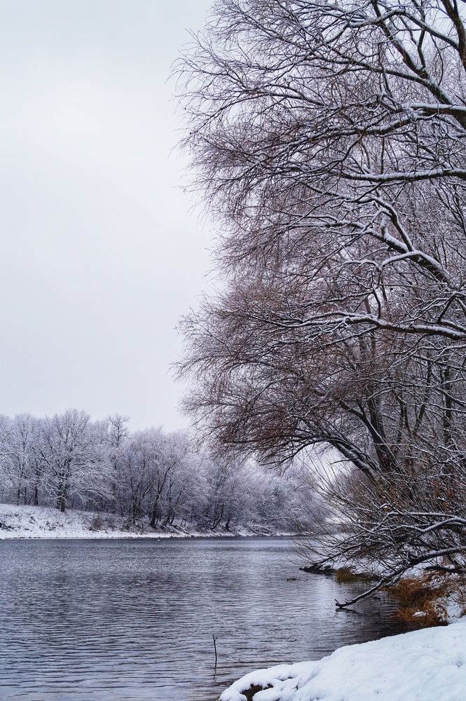 Фотография автора Татьяна