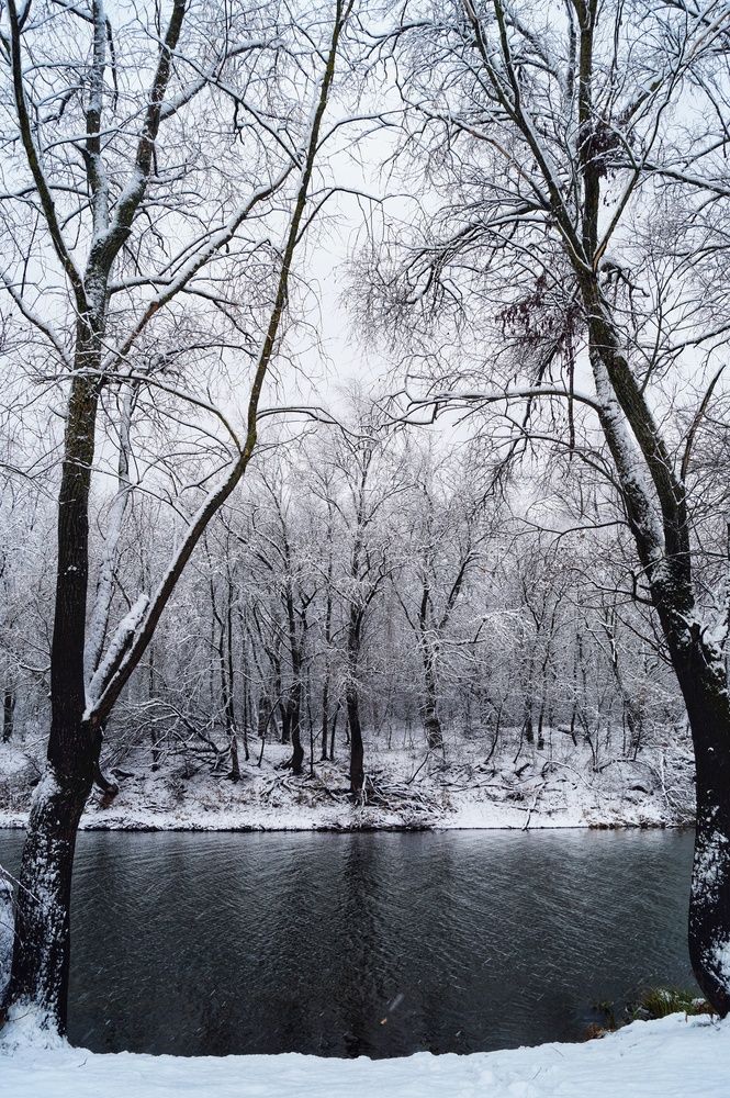Фотография автора Татьяна