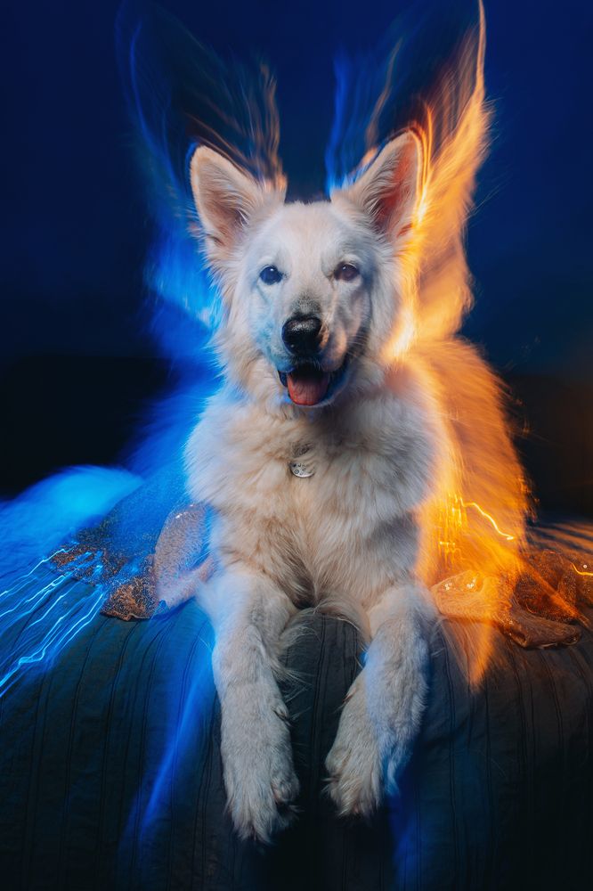 Фотография автора Екатерина Киреева