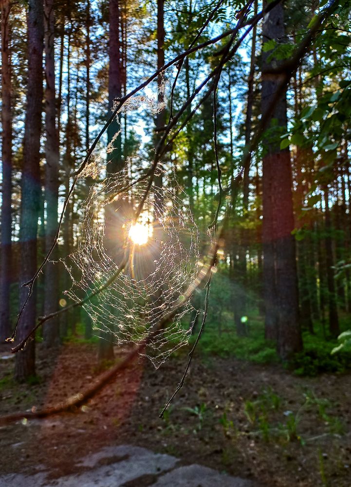 Photograph by Оксана Макарова