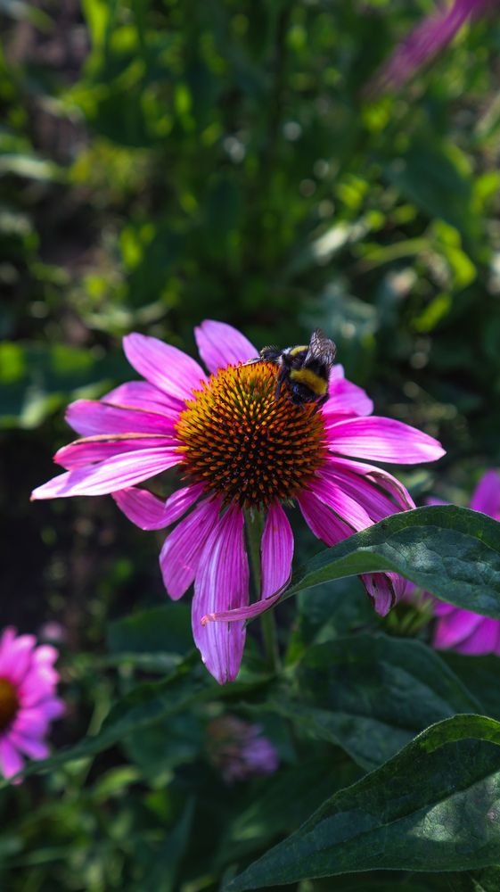 Photograph by Никита Нечаев