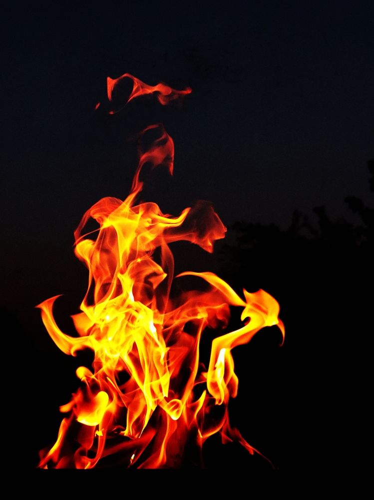 Анатомия огня