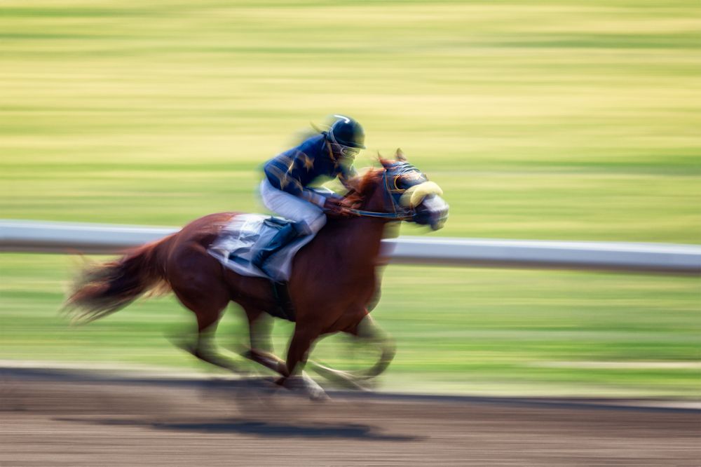 Photograph by Zhenhuan Zhou