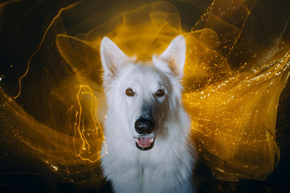 Фотография автора Екатерина Киреева